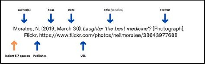 Images References, Net-worth